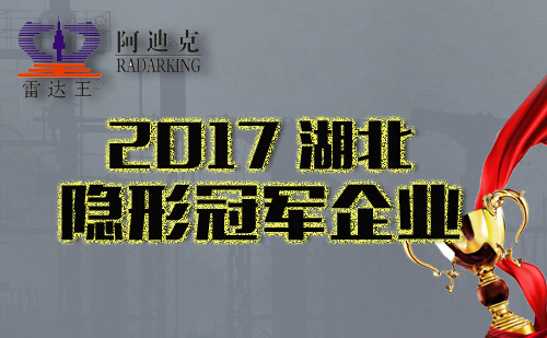 恭祝我司入選湖北省首批支柱產業(yè)細分領域隱形冠軍培育企業(yè)